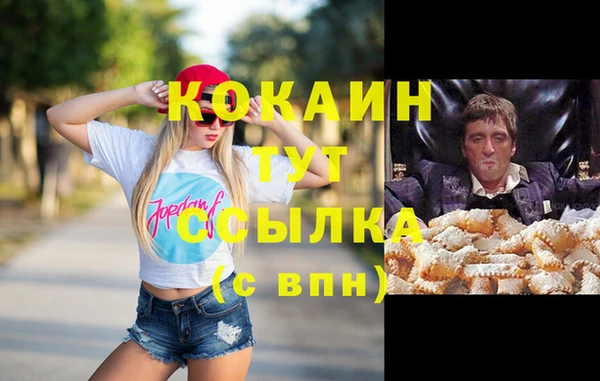 шишки Белокуриха